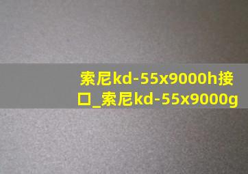 索尼kd-55x9000h接口_索尼kd-55x9000g