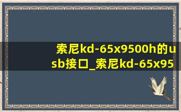 索尼kd-65x9500h的usb接口_索尼kd-65x9500h的usb插口在哪