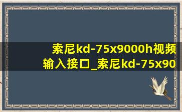 索尼kd-75x9000h视频输入接口_索尼kd-75x9000h视频输入接口在哪