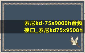 索尼kd-75x9000h音频接口_索尼kd75x9500h高清接口是2.1吗