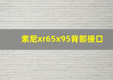 索尼xr65x95背部接口