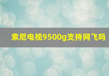 索尼电视9500g支持网飞吗