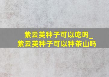 紫云英种子可以吃吗_紫云英种子可以种茶山吗