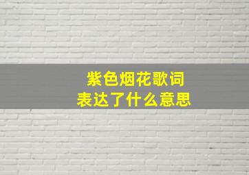 紫色烟花歌词表达了什么意思