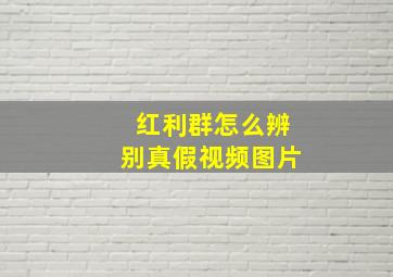 红利群怎么辨别真假视频图片