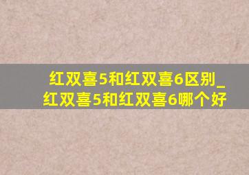 红双喜5和红双喜6区别_红双喜5和红双喜6哪个好