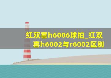 红双喜h6006球拍_红双喜h6002与r6002区别