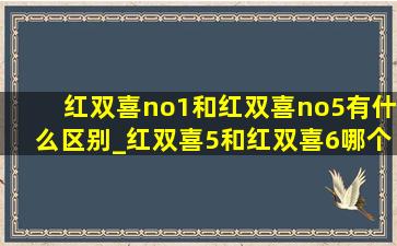 红双喜no1和红双喜no5有什么区别_红双喜5和红双喜6哪个好