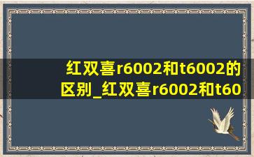 红双喜r6002和t6002的区别_红双喜r6002和t6002区别