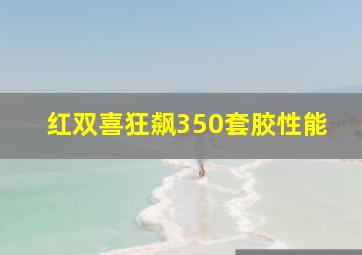 红双喜狂飙350套胶性能