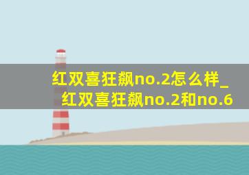 红双喜狂飙no.2怎么样_红双喜狂飙no.2和no.6