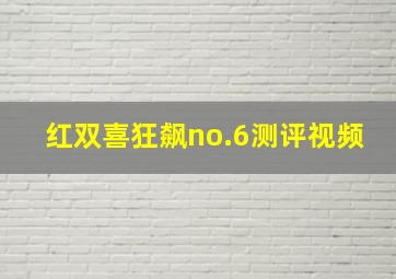 红双喜狂飙no.6测评视频