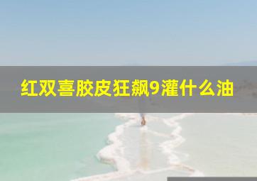 红双喜胶皮狂飙9灌什么油