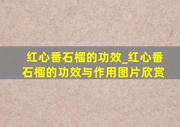 红心番石榴的功效_红心番石榴的功效与作用图片欣赏