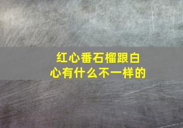 红心番石榴跟白心有什么不一样的