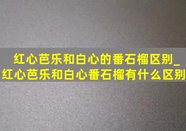 红心芭乐和白心的番石榴区别_红心芭乐和白心番石榴有什么区别