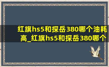 红旗hs5和探岳380哪个油耗高_红旗hs5和探岳380哪个好