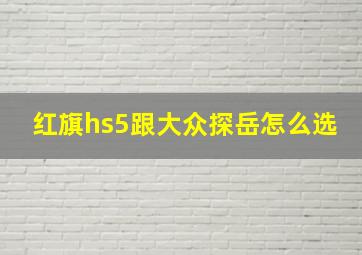 红旗hs5跟大众探岳怎么选