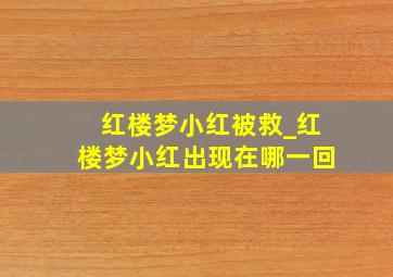 红楼梦小红被救_红楼梦小红出现在哪一回