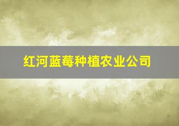 红河蓝莓种植农业公司