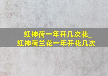 红神荷一年开几次花_红神荷兰花一年开花几次