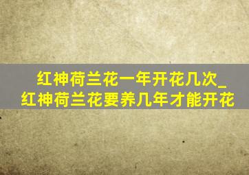 红神荷兰花一年开花几次_红神荷兰花要养几年才能开花