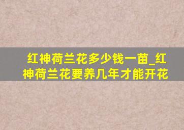 红神荷兰花多少钱一苗_红神荷兰花要养几年才能开花