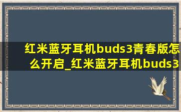 红米蓝牙耳机buds3青春版怎么开启_红米蓝牙耳机buds3青春版怎样重置