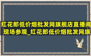 红花郎(低价烟批发网)旗舰店直播间现场参观_红花郎(低价烟批发网)旗舰店直播间