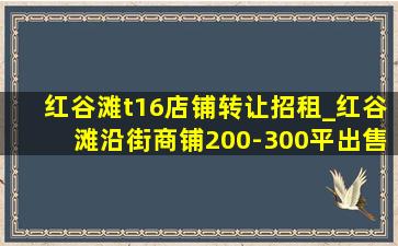 红谷滩t16店铺转让招租_红谷滩沿街商铺200-300平出售