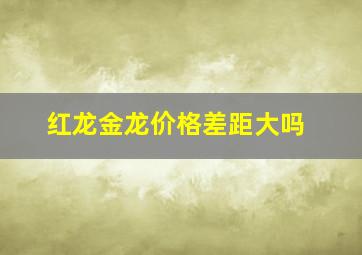 红龙金龙价格差距大吗