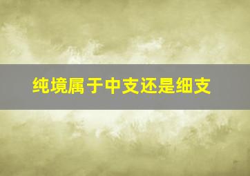 纯境属于中支还是细支