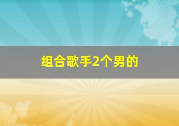 组合歌手2个男的