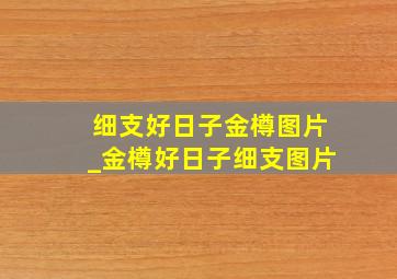 细支好日子金樽图片_金樽好日子细支图片