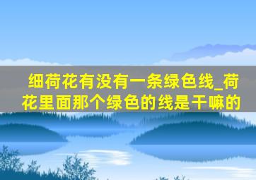 细荷花有没有一条绿色线_荷花里面那个绿色的线是干嘛的