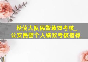 经侦大队民警绩效考核_公安民警个人绩效考核指标