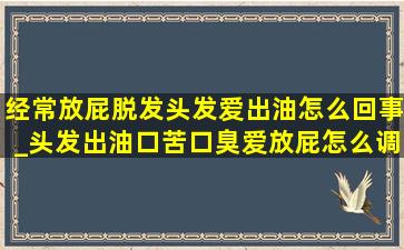 经常放屁脱发头发爱出油怎么回事_头发出油口苦口臭爱放屁怎么调理