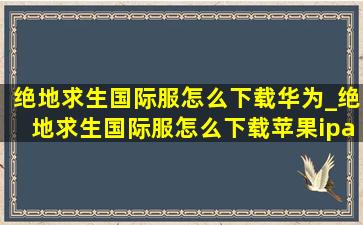 绝地求生国际服怎么下载华为_绝地求生国际服怎么下载苹果ipad