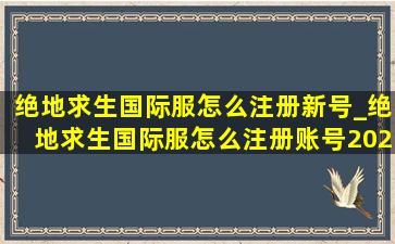 绝地求生国际服怎么注册新号_绝地求生国际服怎么注册账号2021