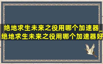 绝地求生未来之役用哪个加速器_绝地求生未来之役用哪个加速器好