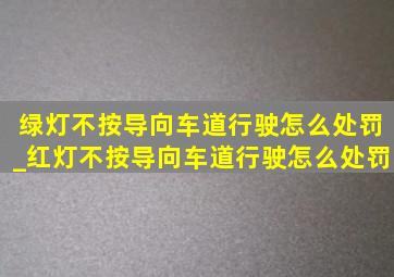 绿灯不按导向车道行驶怎么处罚_红灯不按导向车道行驶怎么处罚