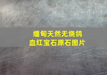 缅甸天然无烧鸽血红宝石原石图片