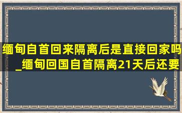 缅甸自首回来隔离后是直接回家吗_缅甸回国自首隔离21天后还要干嘛