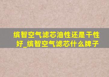 缤智空气滤芯油性还是干性好_缤智空气滤芯什么牌子