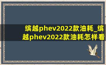 缤越phev2022款油耗_缤越phev2022款油耗怎样看