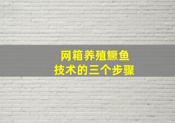 网箱养殖鳜鱼技术的三个步骤