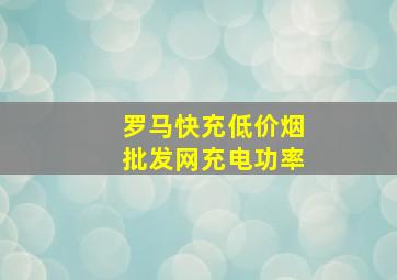 罗马快充(低价烟批发网)充电功率