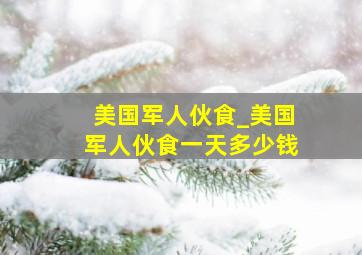 美国军人伙食_美国军人伙食一天多少钱