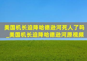 美国机长迫降哈德逊河死人了吗_美国机长迫降哈德逊河原视频