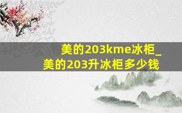 美的203kme冰柜_美的203升冰柜多少钱